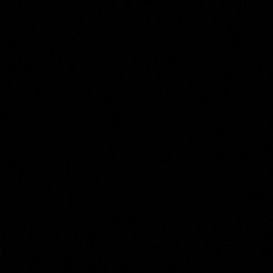 Meet your Posher, Kaylyn